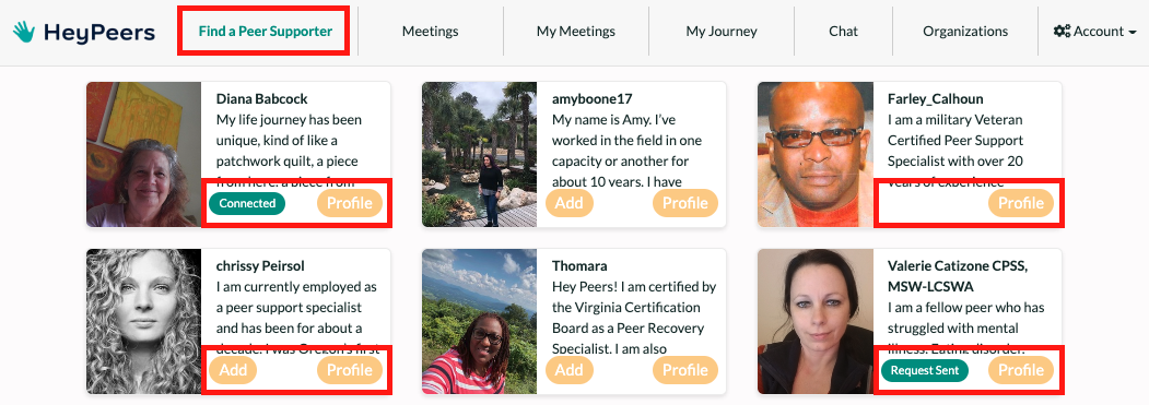 Find_A_Peer_Supporter_Connect_Options.png