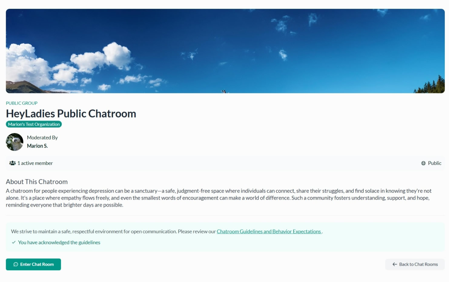 heyladies-dep-chatroom-details.jpg